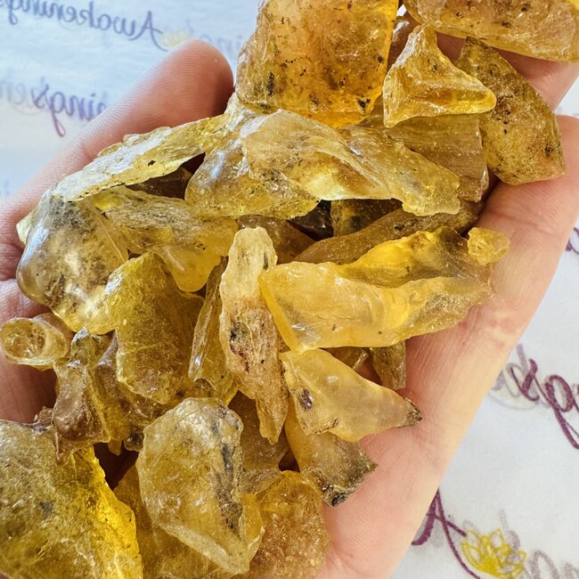 Copal Amber - Tumbled Rough Raw Natural