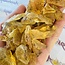 Copal Amber - Tumbled Rough Raw Natural