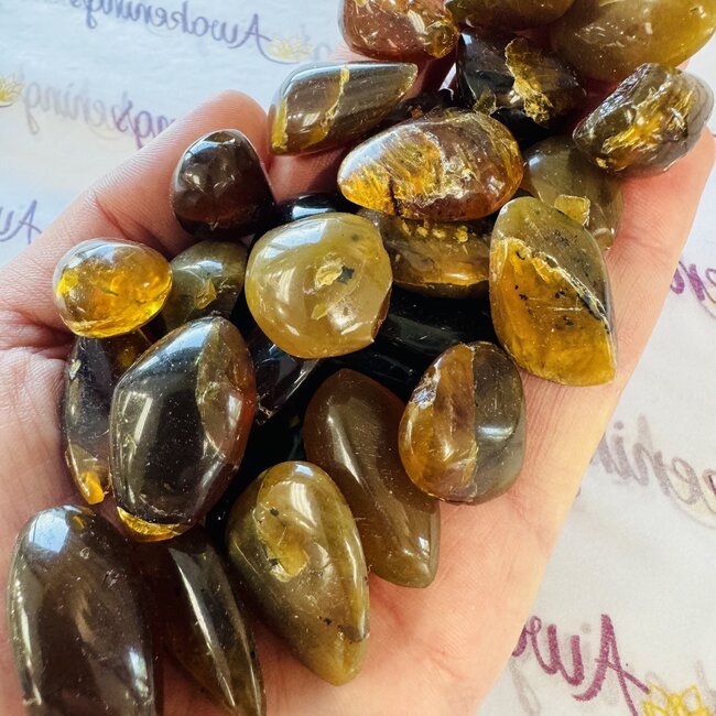 Sumatra Amber - Tumbled