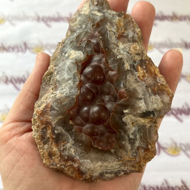 Botryoidal Prairie Agate Specimen - Rough Raw Natural