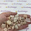 Peach Morganite - Tumbled