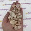 Peach Morganite - Tumbled
