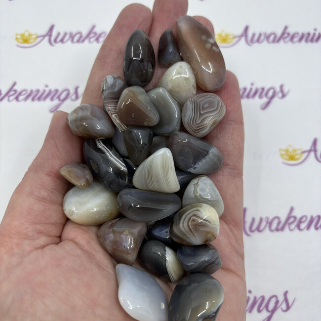 Grey Botswana Agate - Tumbled