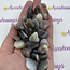 Grey Botswana Agate - Tumbled