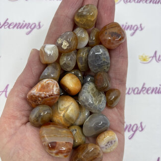 Red Fire Agate - Tumbled