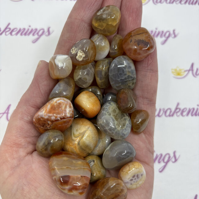 Red Fire Agate - Tumbled