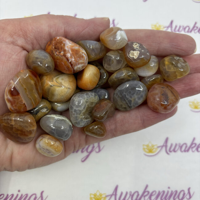 Red Fire Agate - Tumbled