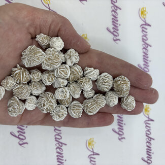 Desert Rose Single (Small) - Rough Raw Natural