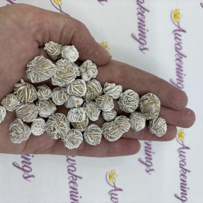 Desert Rose Single (Small) - Rough Raw Natural