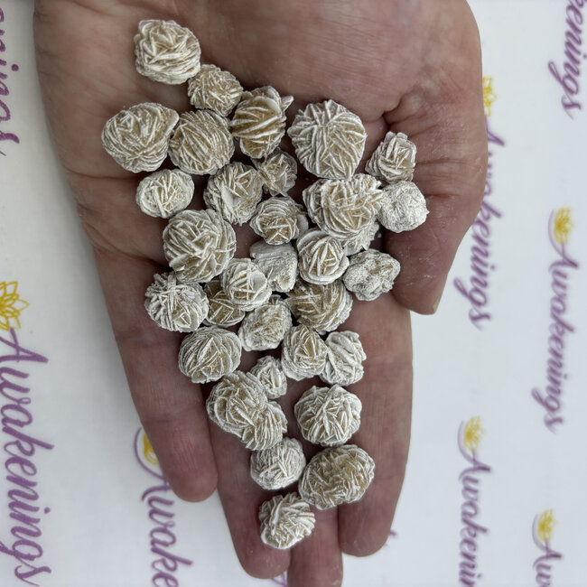 Desert Rose Single (Small) - Rough Raw Natural