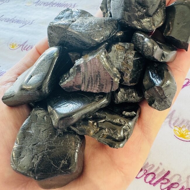 Elite Noble Shungite - Tumbled (Large)