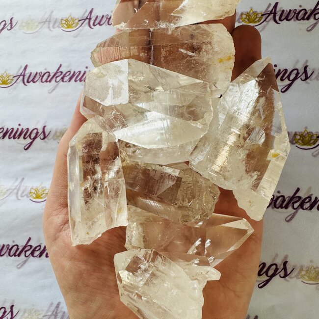 Columbian Lemurian (Lumerian) Clear Quartz-Medium (High Grade) Rough Raw Natural