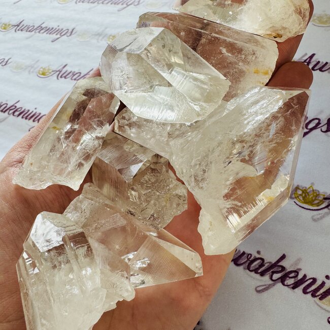 Columbian Lemurian (Lumerian) Clear Quartz-Medium (High Grade) Rough Raw Natural