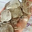 Smoky Quartz Slice - Small Slab Flat