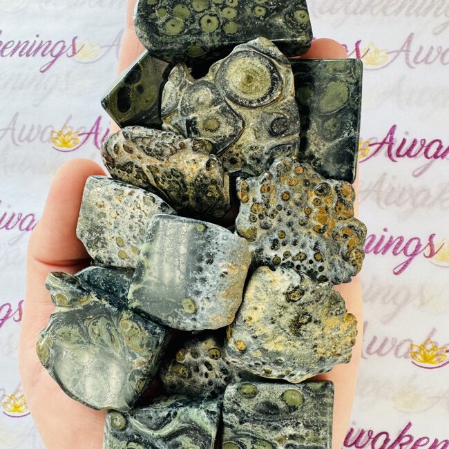 Crocodile (Kambaba) Jasper (Green Stromatolite) Slice - Mini Slab Flat