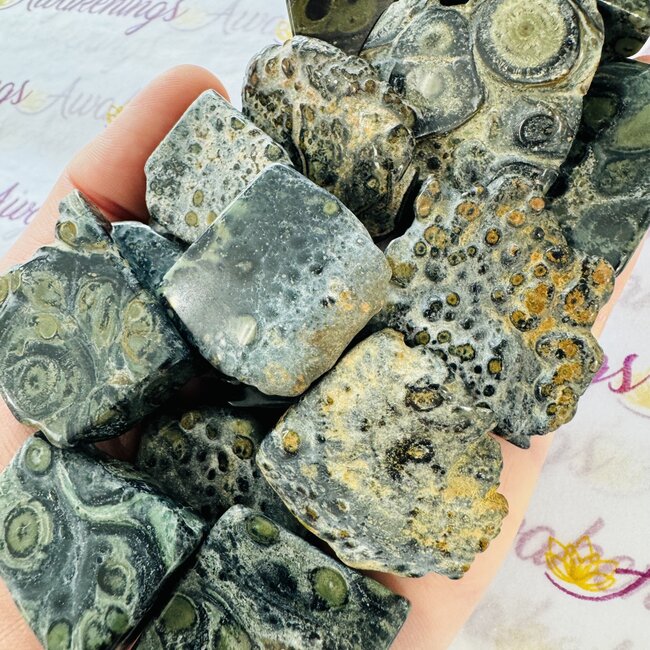 Crocodile (Kambaba) Jasper (Green Stromatolite) Slice - Mini Slab Flat