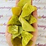 Serpentine (Lemon) Slice - Small Slab Flat