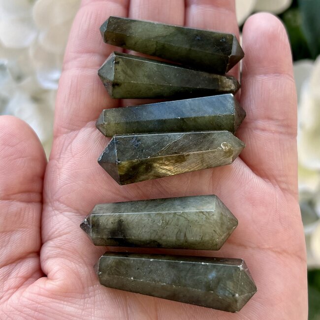 Labradorite Double Terminated DT Point-Medium 2-3"