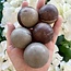 Shiva Lingam Sphere Orb - 40-45mm