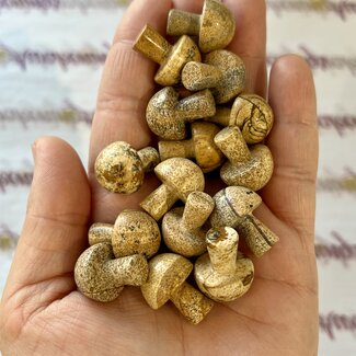 Picture Jasper Mushrooms- Mini