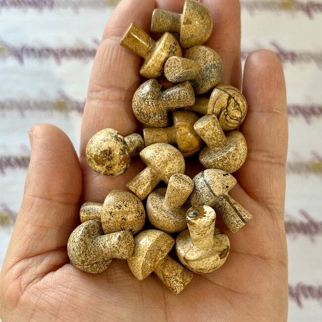 Picture Jasper Mushrooms- Mini