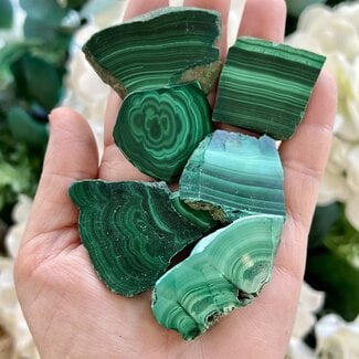 Malachite Slabs Slices Flats - Small