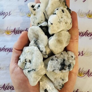Rainbow Moonstone Slice - Small Slab Flat