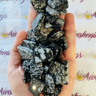 Snowflake Obsidian Slice - Mini Slab Flat