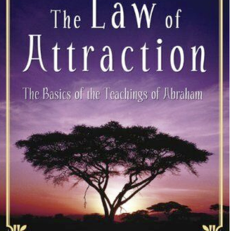 Law of Attraction: The Basics Book