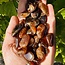 Spessartine Garnet - Tumbled