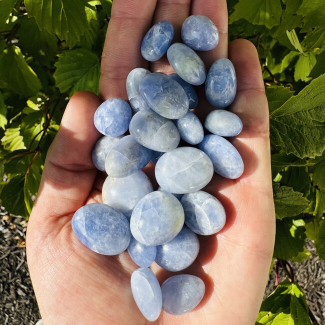 Hackmanite (AAA Grade) - Tumbled