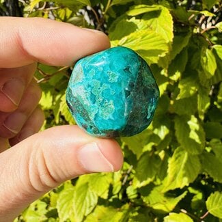Dioptase (Mimetite) - Tumbled