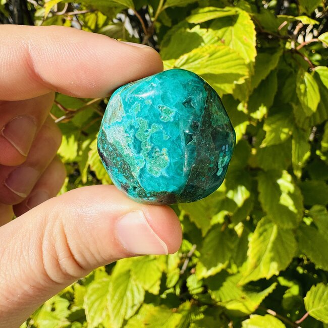Dioptase (Mimetite) - Tumbled