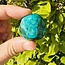 Dioptase (Mimetite) - Tumbled