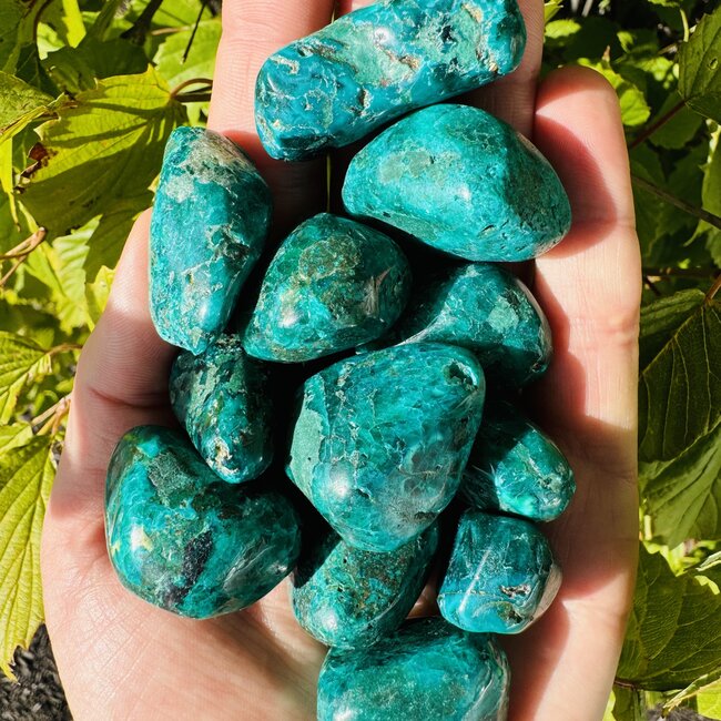 Dioptase (Mimetite) - Tumbled