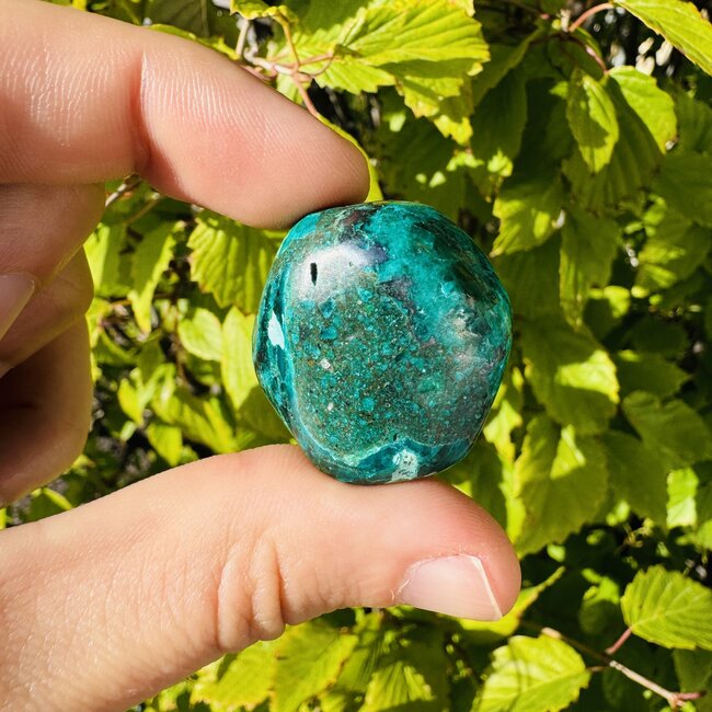 Dioptase (Mimetite) - Tumbled