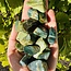 Swamp Bogwood (Larsonite) - Tumbled