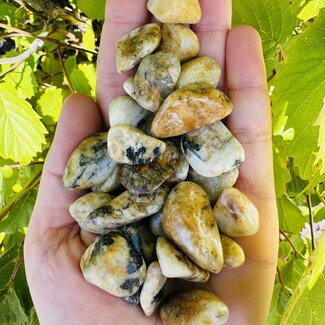 Zultanite Diaspore - Tumbled