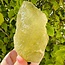 Libyan Tektite Desert Glass (Great Sand Sea Glass Lechatelierite) Specimen - 598 grams Rough Raw Natural