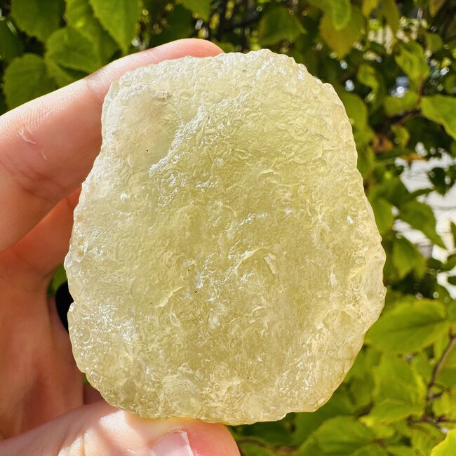 Libyan Tektite Desert Glass (Great Sand Sea Glass Lechatelierite) Specimen - 153.33 grams Rough Raw Natural