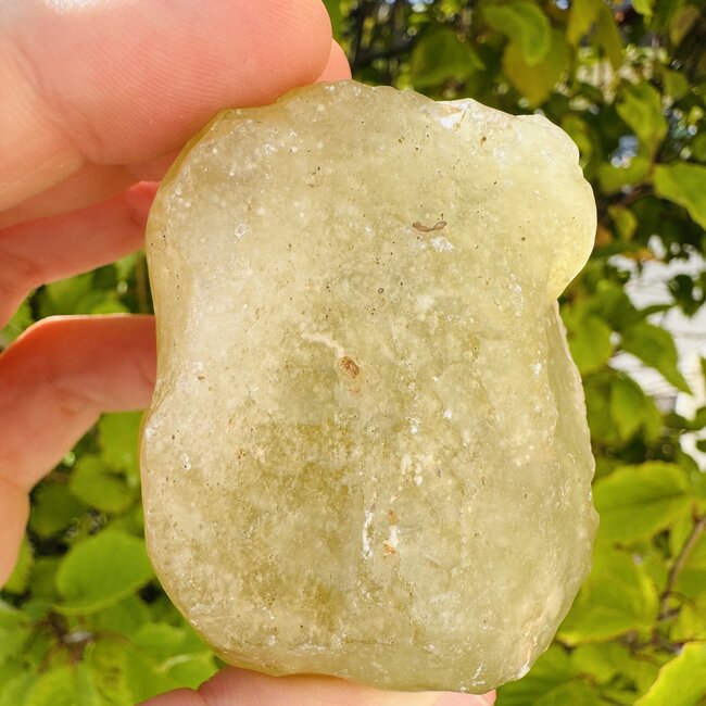 Libyan Tektite Desert Glass (Great Sand Sea Glass Lechatelierite) Specimen - 153.33 grams Rough Raw Natural