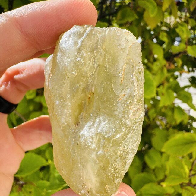 Libyan Tektite Desert Glass (Great Sand Sea Glass Lechatelierite) Specimen - 153.33 grams Rough Raw Natural