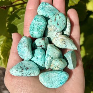 Peruvian Chrysocolla - Tumbled