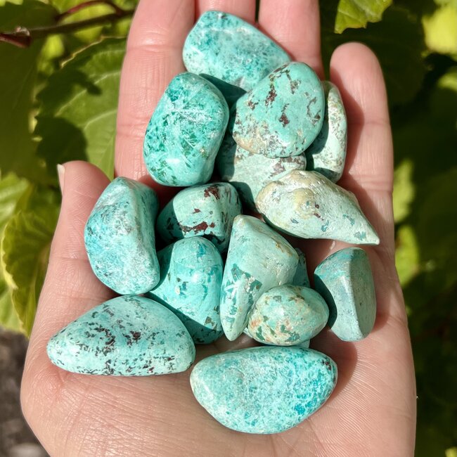 Peruvian Chrysocolla - Tumbled