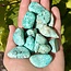 Peruvian Chrysocolla - Tumbled