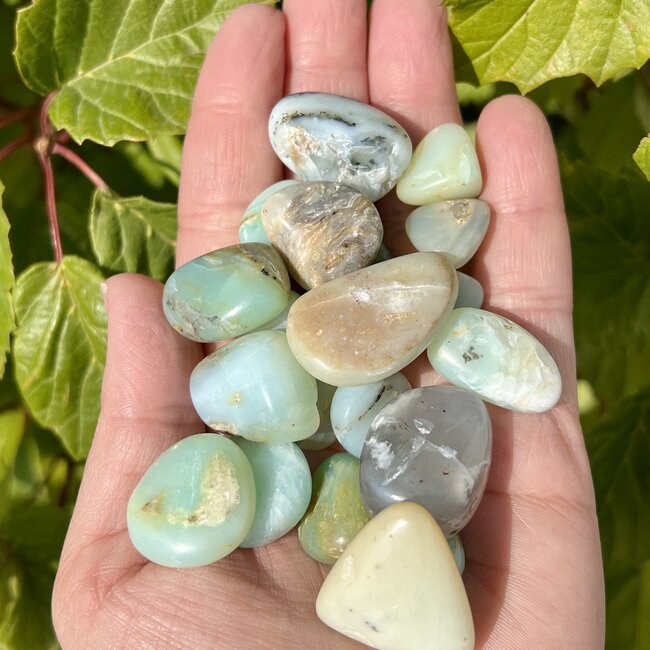 Blue Opal - Tumbled
