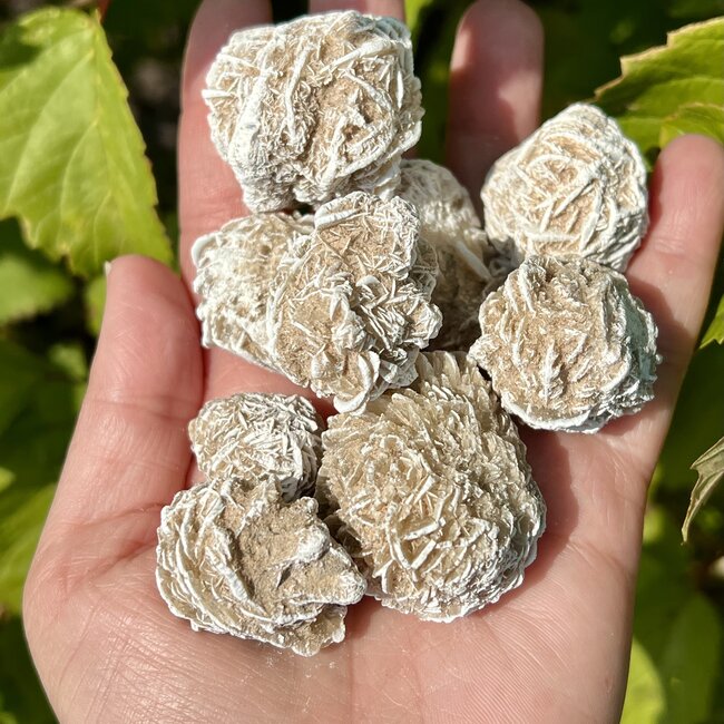Single Desert Rose Gypsum Medium - Rough Raw Natural