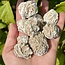 Single Desert Rose Gypsum Medium - Rough Raw Natural