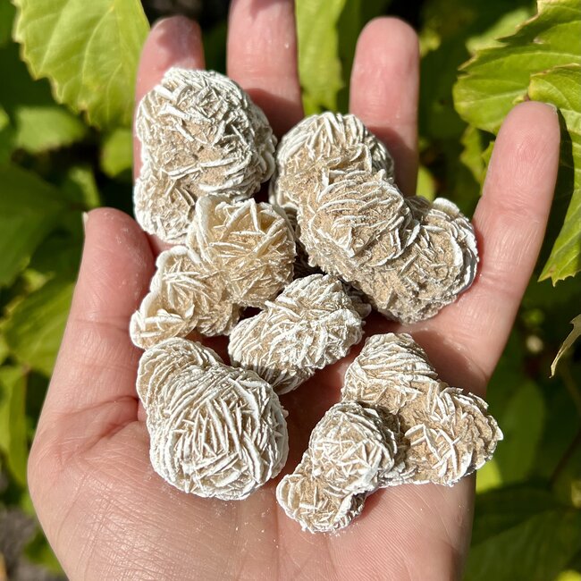 Desert Rose Cluster Medium - Rough Raw Natural
