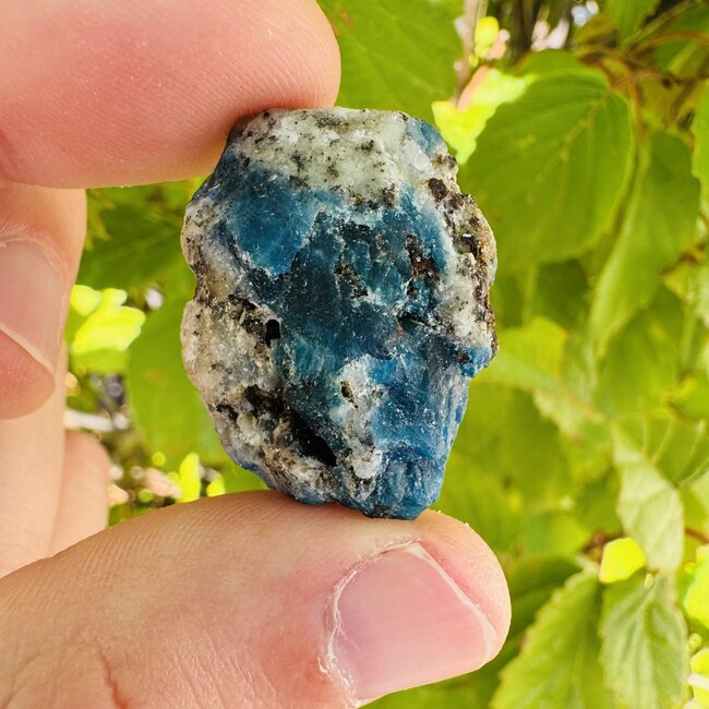 Afghanite (Afghan Lapis) - Rough Raw Natural